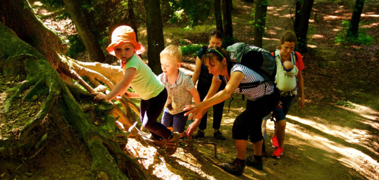Kindergeburtstag bei Erlebnis-Baumschule Gilching
